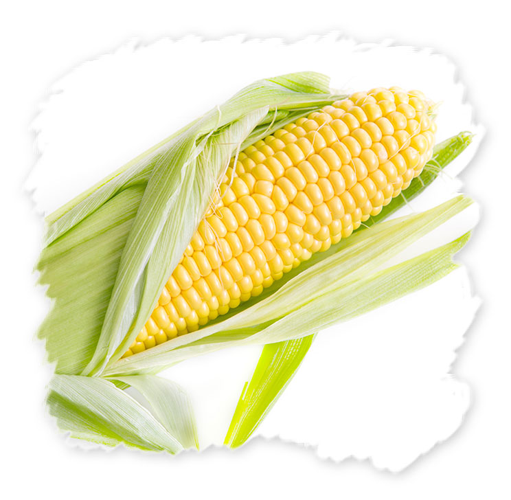 Frozen Corn on Cobs